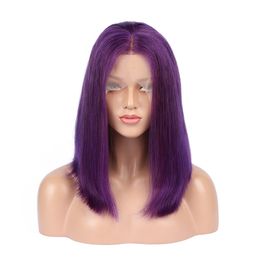 Purple Human Hair Wigs Colourful Wig 100% Human Hair Brazilian Virgin Hair Purple Srraight Full Lace Wig Front Lace Wig Glueless Wigs
