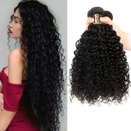 -Unverarbeitete verworrenes gelocktes Haar 100g / pcs lockiges Haarverlängerungen für Frauen Top-Qualität brasilianische peruanische malaysische mongolische Haar-Bundles