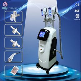 2018 world best selling products cryolipolysis cool shaping body slimming machine fat freeze cryolipolysis machine