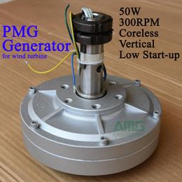 50W 300RPM 12/24Vdc Low Speed Low Start Up for DIY Permanent Magnet Coreless Generator alternator