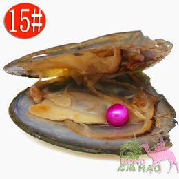 Wholesale natural high quality vacuum packaging pearl oysters, open to surprise Oh (free shipping by DHL 2-5 days)