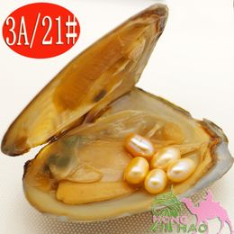 2018 Vacuum Packaged Freshwater Pearl Oysters Oysters with 5pcsAAA Grade 6-8mm#21 Natural Pink Pearls