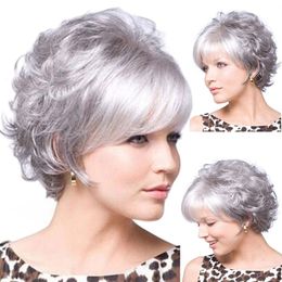 12'' silver gray Fashion wavy Short Silver Grey Afro Wig Straight Synthetic Wigs Natural Hair for both young and Old Women