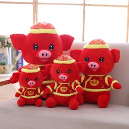 Zodiaco Suministro de Argentina