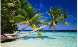 Custom Photo Wallpaper Large Wall Painting Background Wall Paper Coconut tree blue sky beach tv background wall 3d Mural Wallpaper