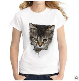 Sconto Gatti Cattivi 2019 Gatti Cattivi In Vendita Su Itdhgatecom