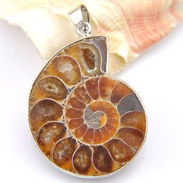 5 st / parti unika unisex tillbehör awesome natursten ammonit fossiler 925 silverpläterade flytande charm locket hänge halsband