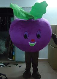 2018 Discount factory sale vegetables mascot food costume Beta vulgaris mascot costume for adult to wear for sale