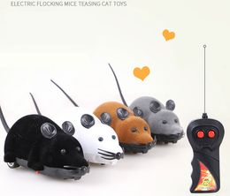 remote control mouse cat toy australia