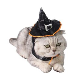 1pc Cat Halloween Cosplay Fancy Dress Magic Black Wizard/Witch's Hat +Scraf Set Halloween Pet Costumes