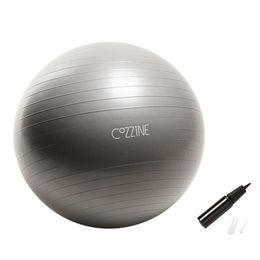 COZZINE Exercise Ball 75cm Pvc Colorful Exercise Gym Yoga Ball With Air Pump TOPKO hot selling exercise yoga ball