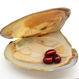 Wholesale oval Oyster Pearl New 6-8mm 3 Same Colour Freshwater Natural Pearl Gift, Loose Decoration Vacuum Pack