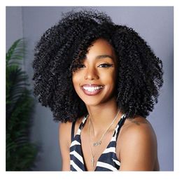 charming fashion women short afro kinky curly wig brazilian Hair African Ameri Simulation human hair kinky curly wig for lady