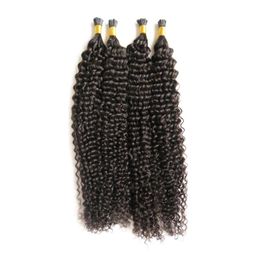 10"_24" afro kinky curly Keratin Hair Extension 200g I Nail Tip Pre Bonded Keratin Fusion Human Hair 100% Remy Human Real Hair Extensions