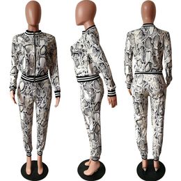 Wholesale European and American women's fashion Slim fit python snake print set two-piece Coat Leggings Body-con Outfit