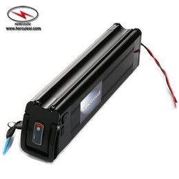 Silver Fish E-Bike Battery 48 Volt 12Ah Lithium Battery Pack for 700W Electric Bike Bicycle