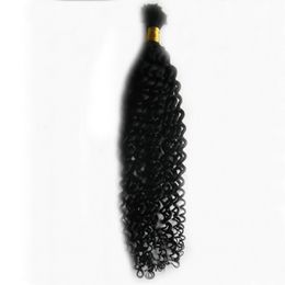 Mongolian kinky curly 1 Bundles Braiding Hair Bulk No Weft Afro Kinky Curly Human Hair Bundles no weft Hair Extensions