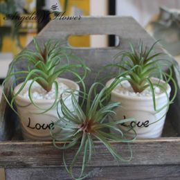 Wholesale-MINI Artificial fleshiness Air grass plant microlandschaft decorative flower home Balcony decoration 2 colors 1pcs