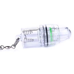 HENGJIA new arrival Flashing constantly bright sea fishing deep water LED lure fish light underwater flash 2 size