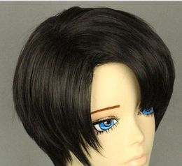 Male Anime Hair Wigs Nz Buy New Male Anime Hair Wigs Online From