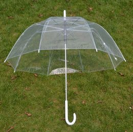 Stylish Simplicity Bubble Deep Dome Umbrella Transparent Umbrella Girl Mushroom Umbrella Clear Bubble Free shipping SN701