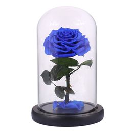 Glass Cover Fresh Preserved Rose Flower Barbed Rose Flores For Wedding Marriage Home Party Decoration Valentine'S Day Gift Blue