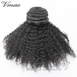 Brazilian Virgin 4A Human Hair Bundles Wet And Wavy VMAE natural Curly Natrural Soft