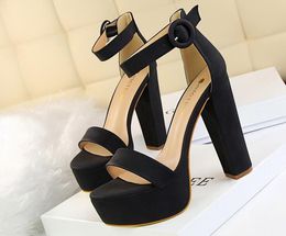 Summer model women high heel Sandals 13 cm open toes chunky heel platform Sandals Buckle Strap lady Automobile model Shoes with box