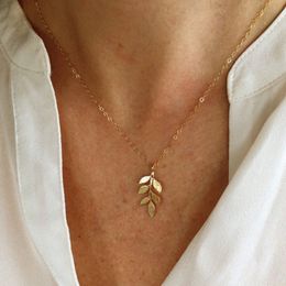 Women Leaf Short Chain Necklace Metal Leaf Pendant Necklace Gold Fashion Jewellery for Gift Party Wholesale
