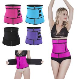 50pcs Fitness Sports Exercise Waist Belt Waist Support Pressure Protector Belt Training Waistband Pregnant Woman Postpartum Waist Belt