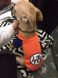 Perro pequeño Ropa para mascotas Dragon Ball Goku Suéter Camisetas Ropa de  abrigo Traje Ropa para perros Juego de perros Mascota para Chihuahua