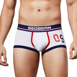 2019 Men Gift Boxer Underwear for Man Sexy Cotton Leggings Underpants Low Waist Underpants Comfortable Size M-XXL