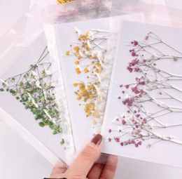 100pcs Mini Pressed Dried Gypsophila Flower For Wedding Party Home Pendant Necklace Craft DIY Bouquet Accessories