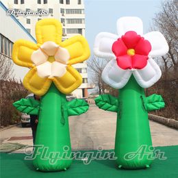 Customized Party Supplies 3m Height Inflatable Blossoming Flower With Green Stem For Shopping Mall Theme Decoration