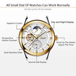 AESOP Moon Phase Watch Men Automatic Mechanical Watch Fashion Gold Wrist Watches Wristwatch Male Clock Men Relogio Masculino2568