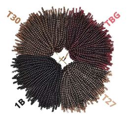 African Braiding Hair Crochet Dreadlocks Extensions Wave Hairstyle Ombre Curly Braids Women Men