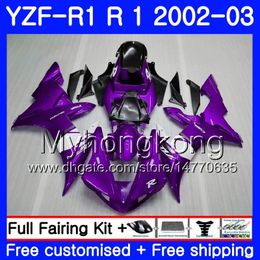 Bodys Purple white hot For YAMAHA YZF-1000 YZF R 1 YZF R1 2002 2003 Bodywork 237HM.25 YZF 1000 YZF-R1 02 YZF1000 Frame YZFR1 02 03 Fairing