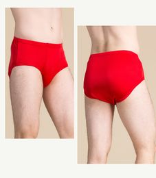 Luxury Mens Underwear Briefs 100% Natural Silk Knit Bikini Mid Waist Panties Size US M L XL Underpants Drawers Kecks Thong P8D8