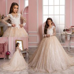 Luxurious BlingBling Flower Girl Dresses Long Sleeves Sheer Neck Little Girl Wedding Dresses Vintage Lace Communion Pageant Dresses Gowns