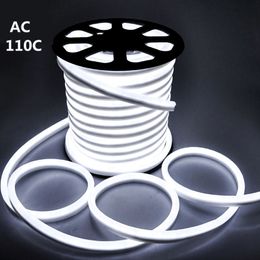 AC 110 V Neon-Seil-LED-Streifen, einfarbig, 50 Meter, IP67, 5050 SMD-Licht für den Außenbereich, 60 LEDs/m mit Netzteil, schneidbar auf 1 Meter