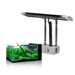 Pez De Agua Dulce Azul Online Pez De Agua Dulce Azul Online En