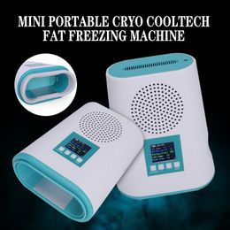 Slimming Machine Professional Frozen Fat Body Lose Weight for Abdominal Fat Reduction Mini Instrument