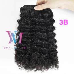 Peruvian Virgin Afro Kinky Curly Hair 3B 3C 4A 4B 4C Natural Color Cuticle Aligned 100g Human Hair 12 26 Clip In Extension