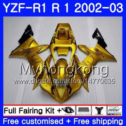 Goldene heiße Körper für Yamaha YZF R 1 YZF 1000 YZF-1000 YZFR1 02 03 Karosserie 237HM.15 YZF R1 02 YZF1000 YZF-R1 2002 2003 Verkleidungsrahmen