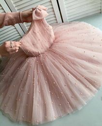 Pink Pearls Luxurious Flower Girl Dresses One Shoulder Tulle Little Girl Wedding Dresses Child Pageant Birthday Gowns ZJ550
