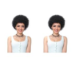 new hairstyle soft lndian Hair African American afro short cut kinky curly wig Simulation Human Hair kinky curly wig