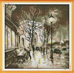 Beauty of the night street home decor painting ,Handmade Cross Stitch Embroidery Needlework sets counted print on canvas DMC 14CT /11CT