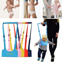 Trotteur Marcheur Pour Bebe Baby Walking Wings Apprenez A Marcher Assistant Enfant En Bas Age Bebe Marche Etude Harnais De Ceinture Gardien De Securite Eveil Et Jouets Bebe Puericulture Dwteam In Trotteur Marcheur Pour Bebe Baby Walking Wings Apprenez A Marcher Assistant Enfant En Bas Age Bebe Marche Etude Harnais De Ceinture Gardien De Securite Eveil Et Jouets Bebe Puericulture Dwteam In