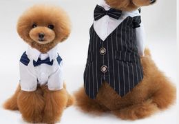 Pet clothes, dog suits, pet dresses, articles, pet wedding stripes, gentleman's dog clothes WL127