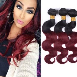 Indian Raw Virgin Hair 1B 99j Ombre Human Hair Extensions 3 Bundles Two Tones Colour Body Wave 1B/99j Burgundy